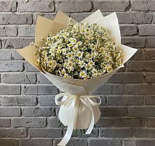 Букет цветов из:  Ромашки #REPLACE_PRED# Чистоозёрном